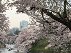 千鳥ヶ淵。ここと靖国神社の辺りはさすがに人が多かった。
