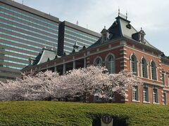 法務省旧本館と桜。