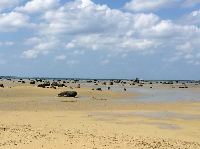 無数の岩が点在しています。<br />不思議な光景が広がっています。