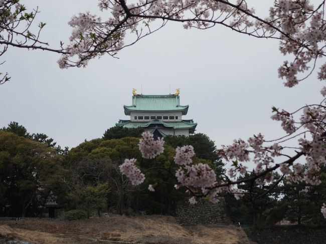 名古屋城の東側に来ました。