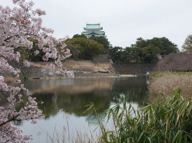 たっぷりと水をたたえています。