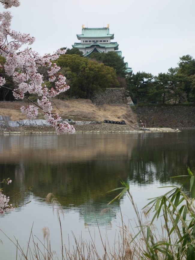 天守閣が水に映えます。