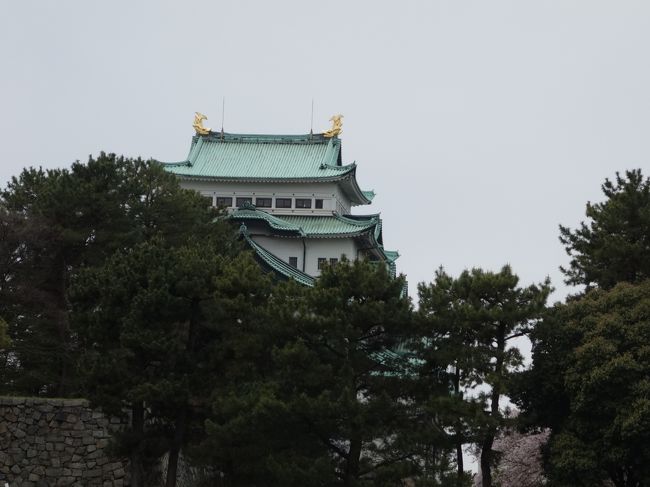 東から見た天守閣。