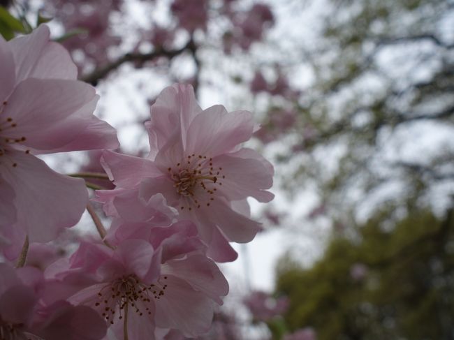 いい色ですね。