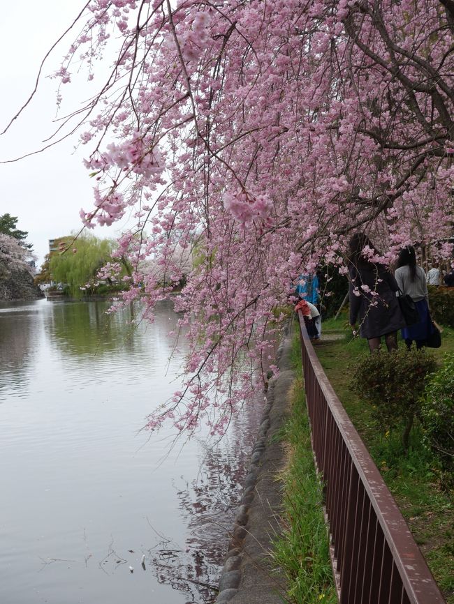 水にたれる，枝垂れ。