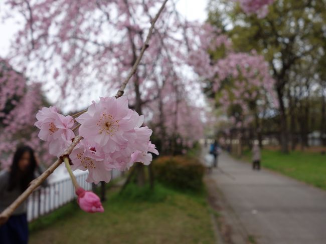 いいところです。