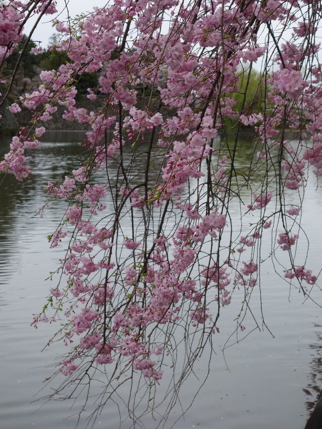 こういうの，好きです。