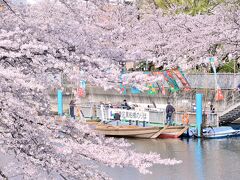 お江戸深川さくらまつり