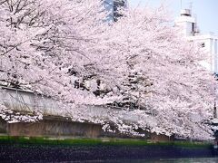 青空と桜

｡.:♪*:･'(*⌒―⌒*))) 

