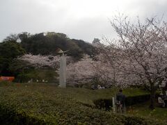 館山の「城山公園」と桜。