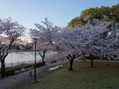 新海池公園