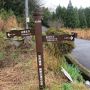 春の雨　熊野古道をすこし歩いた母娘旅　その２