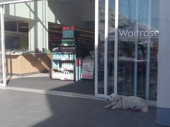 近くには、高級スーパーのwaitrose。
質のよい商品が並んでいるという評判です。

Brunswick centreというショッピングセンターの一番奥。
ファストファッションのブティックやドラックストアの”Boots”などもあり、
日によっては野外マーケットが開かれていました。


息子と二人だったので、パブなどには行かず、
夜はこちらでお惣菜を買って部屋で食べる日が多かったです。