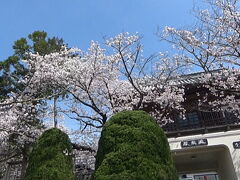 7番札所　光明山　蓮華院　十楽寺

(こうみょうざん　れんげいん　じゅうらくじ)

に10時に到着。

