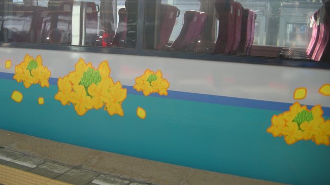 菜の花の絵もあり・・・