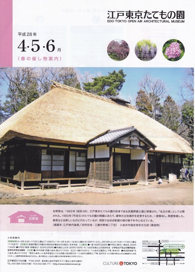 桜満る都立小金井公園 国分寺 小金井 東京 の旅行記 ブログ By Yoshitoさん フォートラベル 桜満る都立小金井公園 国分寺 小金井 東京 の旅行記 ブログ By Yoshitoさん フォートラベル