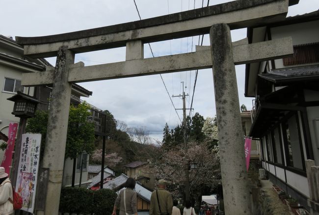 2016春、奈良の桜(9/13)：吉野山(5)：南朝の御所だった吉水神社