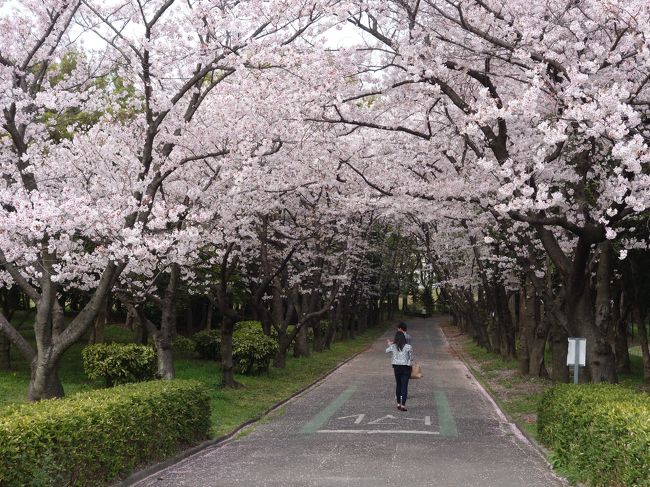 こんなトンネルです。