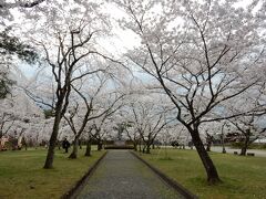 続いて、東北道を一気に北上。

題名の「福島の桜」を飛び越えて、向かったのは宮城県白石市。

昨年遠刈田温泉に泊まった際に、白石市の桜が有名だと知ったことが来たきっかけです。

白石城跡のある、益岡公園を訪れました。

ここに来る途中も、街には桜の木が多く、春はドライブしているだけで気持ちよくなれる街だなと感じました。