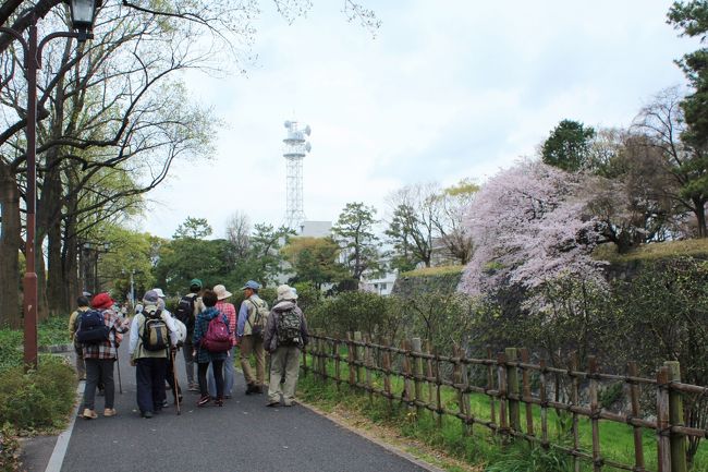 リーダーは、お花博士なので、立ち止まっては花の説明。<br /><br />城内には入らず、お堀１周します。