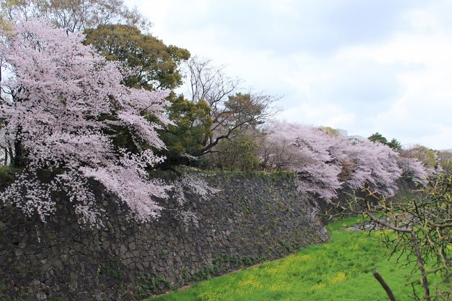 撮影スポット満載です。