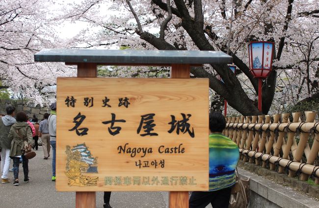 ここからの入場者は多いです。<br /><br />外国の方もたくさん見えて、勿論あの大陸の方々も。