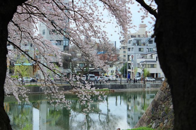 このあたりから、お堀に水が。