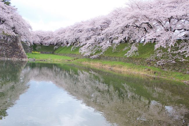 おっ、いい感じ！<br /><br />ここに来て大正解！<br />個人で来たら、絶対城内に入ってしまう。