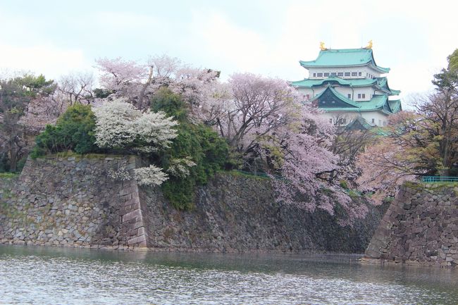 名古屋城が見えてきて、皆さん激写してます。