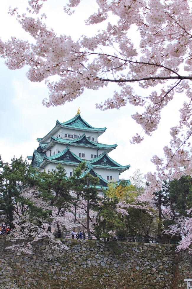 春爛漫です、うっとり。