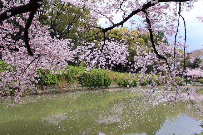 名城公園に来ました。