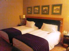 ＰＭ２０：００　◆ヒルトン ブダペストホテル◆

４つ星ホテルのヒルトン！！о(ж＞▽＜)ｙ ☆

チェコ・オーストリアのホテルではトラブル続きだったので（笑）、
やっとゆっくり寝れるという感じです。