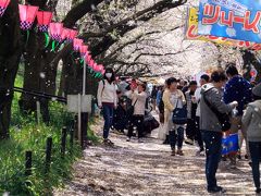 第91回幸手桜まつり