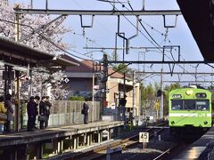 満開な桜に包まれた久世神社での朝練を無事に終えた後、大和の情緒漂う春の風景をもっと探しに桜の絨毯に包まれた大和路を巡ってまいります