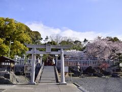 朝日が昇り、あたりの風景もはっきりと見えてまいりました
早朝にやって来ましたこの場所は城陽にある久世神社であります