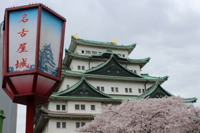 お城の周りは、すごい人で、さすがに疲れもあって、もう帰ろうとなって。