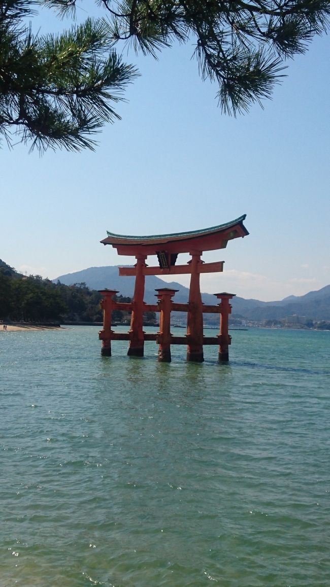 広島1泊2日一人旅 1日目 宮島 厳島神社 広島県 の旅行記 ブログ By みっちょむさん フォートラベル 広島1泊2日一人旅 1日目 宮島 厳島神社 広島県 の旅行記 ブログ By みっちょむさん フォートラベル