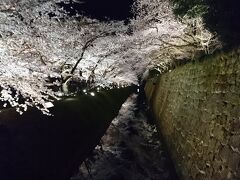 夜桜の絶景スポットは、このお堀に写る桜が超お薦めですが、スマホの写真ではイマイチのようですが、肉眼で是非鑑賞してください。
天気の良い日は、本当に素晴らしいので、お見逃しなく。