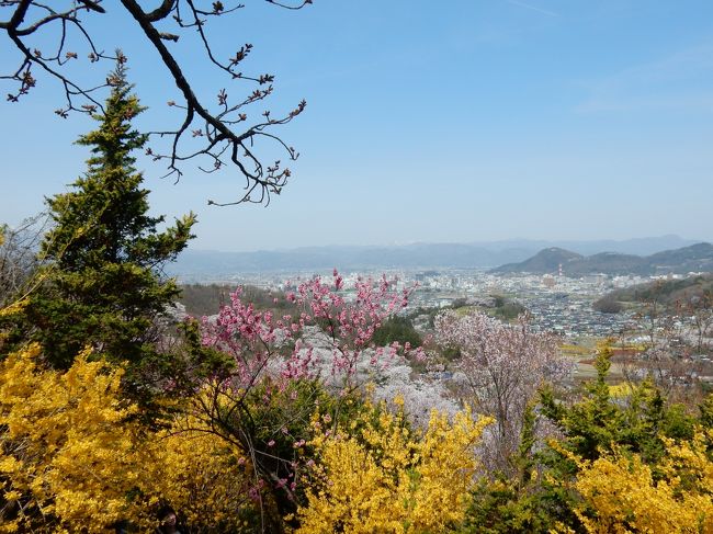 ２日目。<br /><br />朝から福島郊外の花見山に向かいました。<br /><br />花見山の駐車場は阿武隈川河川敷にあり、そこからバスでピストン輸送とのことだったので、ホテルにクルマを置いて駅からバスで向かいました。