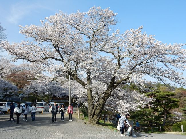 三の丸広場のあたりです。<br /><br />この辺りは出店も多く、にぎやかでした。