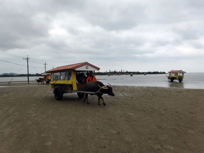 お仕事、ご苦労様〜