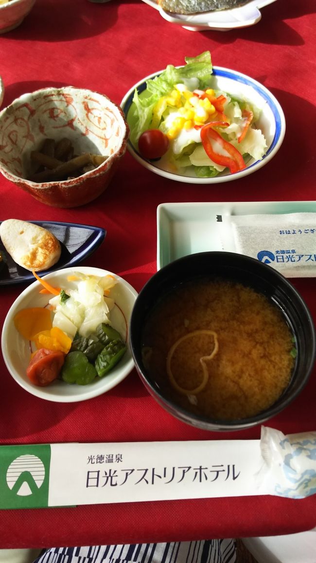 日光アストリアホテルステイ4月9日 栃木県の旅行記 ブログ By Amさん フォートラベル 日光アストリアホテルステイ4月9日 栃木県の旅行記 ブログ By Amさん フォートラベル