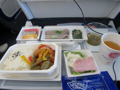 帰りの飛行機も最新型？きれいでした！
でもイヤホンが壊れてて。
ベトナム人の新人ＣＡさんに変えてもらいました〜

機内食は魚のタラゴンソースと迷い唐揚げの香味ソースに決定。

帰りも行き飛行機で隣だった添乗員さんのツアーと同じになった。

羽田に着いたらANAはシステムエラーを起こしてたとか？
そしてベルギー事件も。

私は無事に旅を終えることが出来ました。
とてもステキな出会いも有りました。
本当に素晴らしい体験もできました！
行って良かった！
行けて良かった！！
ありがとー！！