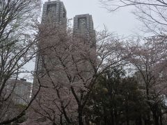 少し遅く起きた土曜日。平日はデスクワークで体がなまっているから、ここぞとばかりに散歩とジョギング。
近所の新宿中央公園は桜が満開の様子なので、ジョギングがてら少し覗いてみようかねぇ。

おお。都庁と桜。都心のど真ん中にも桜の名所はあるわけでして。
毎年見るけどやっぱいいね。
