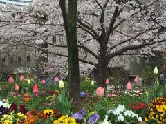 桜とチューリップなどの花とのコントラストが見事でした。