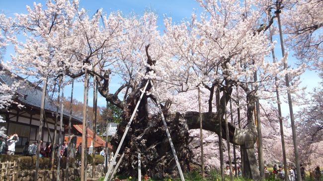 これが1番綺麗に見える角度。
