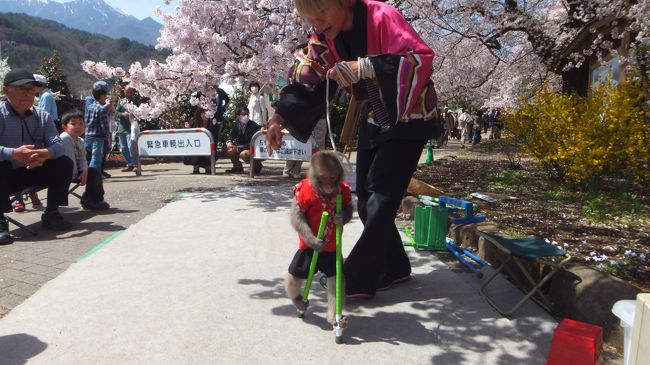 練習してできるようになったという竹馬。