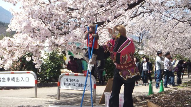 今度は高い竹馬。<br />こっちはお姉さんに補助してもらわないと倒れちゃいます。