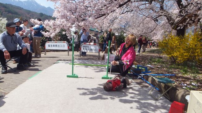 ジャンプすると着地と同時にでんぐり返ししてくれます。<br />可愛い〜。