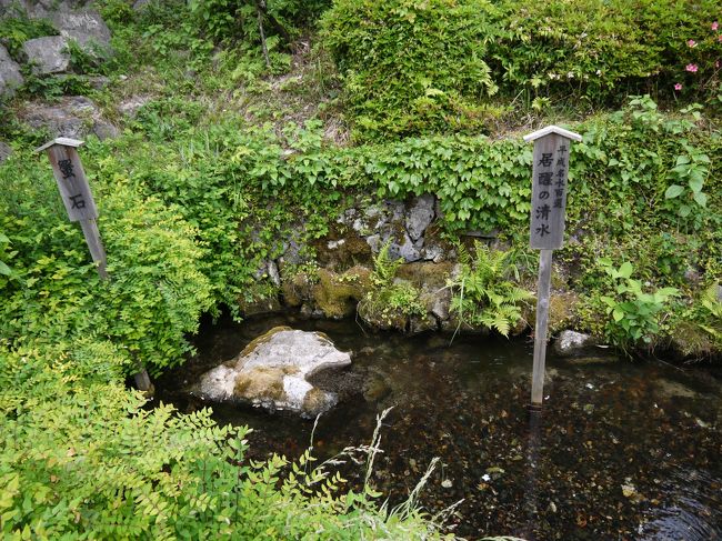 琵琶湖 近江八幡 醒井の清水 長浜 奥琵琶湖パークウェイ 滋賀県の旅行記 ブログ By ぽすとれさん フォートラベル